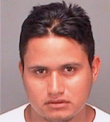 Lopezcastillo Mario - Pinellas County, FL 