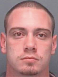 Andersen Matthew - Pinellas County, FL 