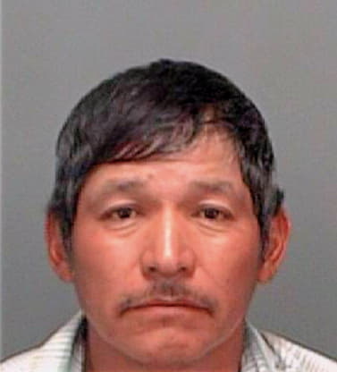 Gonzalezrafael Nicasio - Pinellas County, FL 