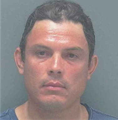 Monge Rafael - Lee County, FL 