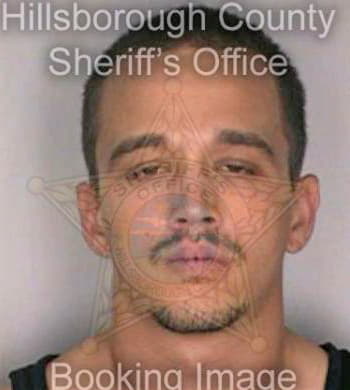 Valdez Robert - Hillsborough County, FL 