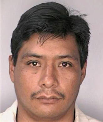 Perezgomez Vidal - Hillsborough County, FL 