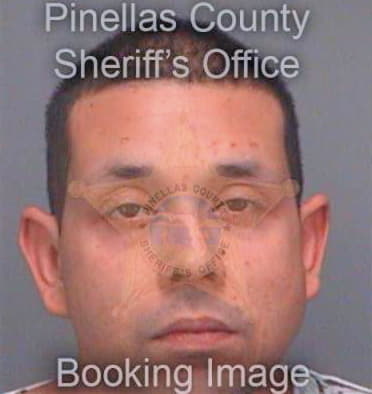 Johnson Christopher - Pinellas County, FL 