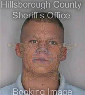 Todd David - Hillsborough County, FL 