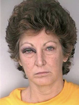 Chapman Karen - Hillsborough County, FL 