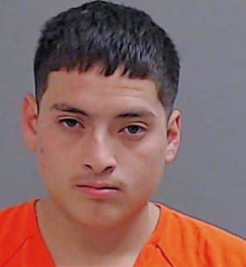 Jimenez Luis - Hidalgo County, TX 