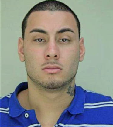 Barreiro Andres - Hillsborough County, FL 