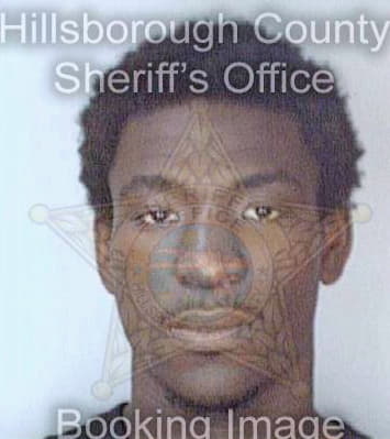 Johnson John - Hillsborough County, FL 