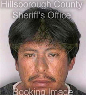 Calvillo Manuel - Hillsborough County, FL 