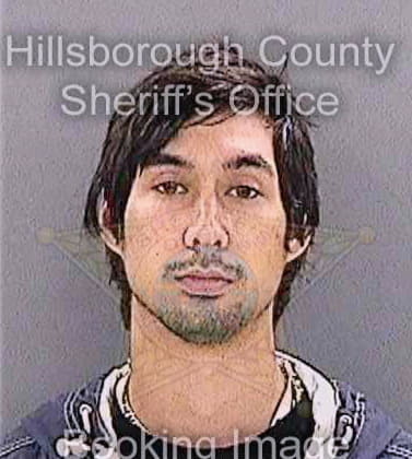 Bice Raymond - Hillsborough County, FL 