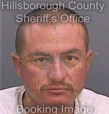 Figueroaflores Victorino - Hillsborough County, FL 