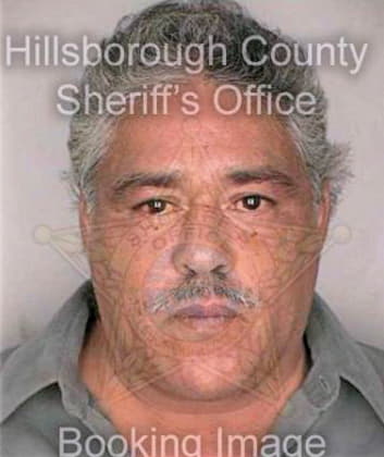 Romero Vidal - Hillsborough County, FL 