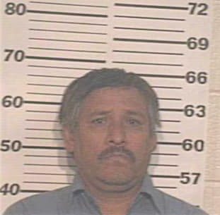 Molina Alfonso - Hidalgo County, TX 