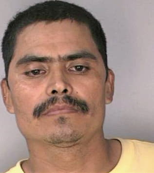 Lopezfunes Baltazar - Hillsborough County, FL 