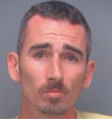 Constable David - Pinellas County, FL 
