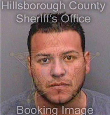 Alcantaragonzalez Isreal - Hillsborough County, FL 