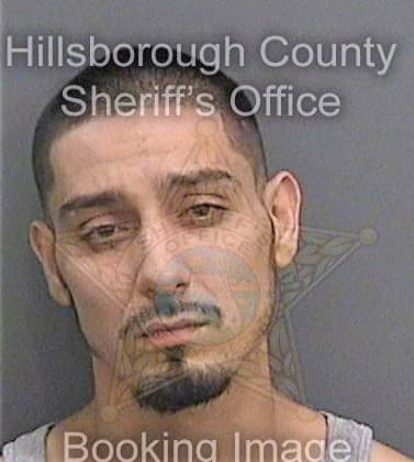 Camelo Johnathan - Hillsborough County, FL 