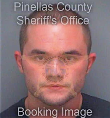 Davis Cameron - Pinellas County, FL 