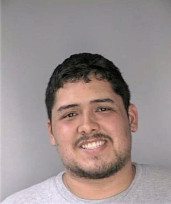 Valentin Nicholas - Hillsborough County, FL 