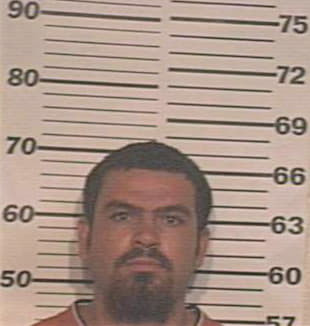 Hernandez Omar - Hidalgo County, TX 