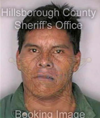 Bartolon Anastacio - Hillsborough County, FL 