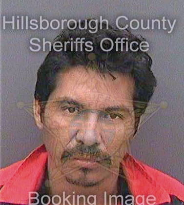 Carcamoaguilar Angel - Hillsborough County, FL 