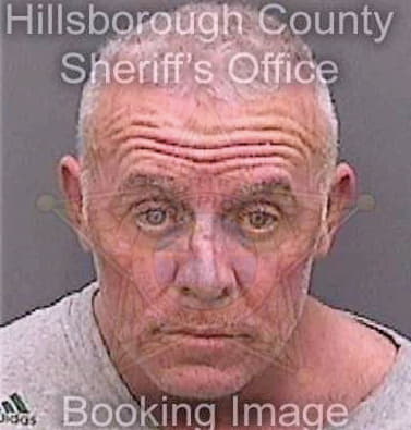 Mcisaac Michael - Hillsborough County, FL 