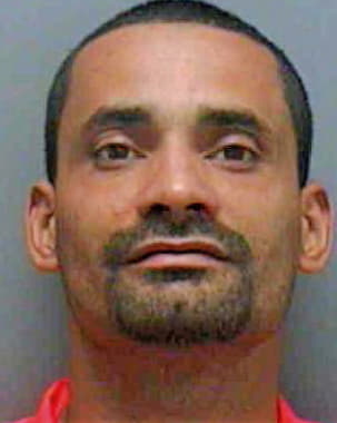 Fernandez Noel - Lee County, FL 