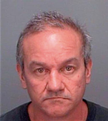 Morey Theodore - Pinellas County, FL 