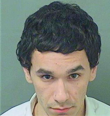 Mejia Brian - PalmBeach County, FL 