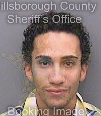 Colondiaz Luis - Hillsborough County, FL 