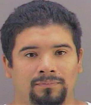 Torres Manuel - Gregg County, TX 