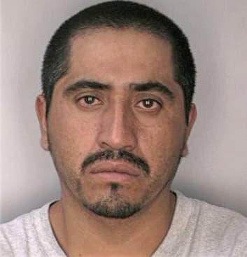 Hernandezpena Miguel - Hillsborough County, FL 