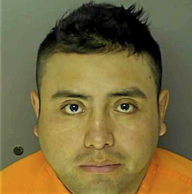 Coyoy-Mejia Ricardo - Horry County, SC 