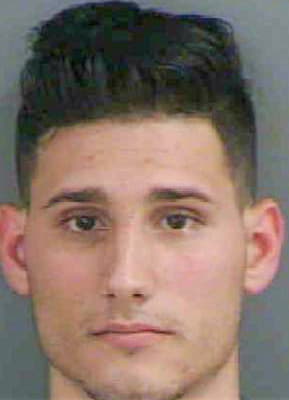 Molina-Garcia Andy - Collier County, FL 