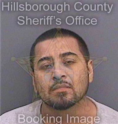 Garcia Felipe - Hillsborough County, FL 