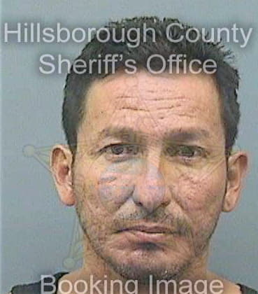 Alvardoquevedo Giovanny - Hillsborough County, FL 