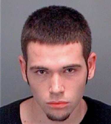 Hevia Ryan - Pinellas County, FL 