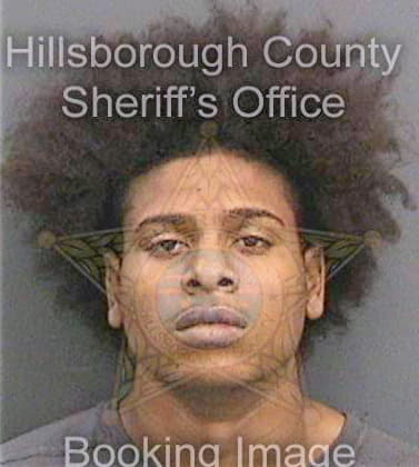 Williams Dominique - Hillsborough County, FL 