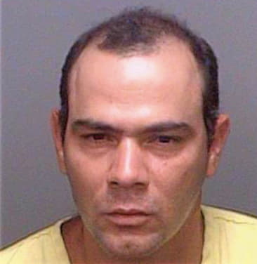 Rodriguez Francisco - Pinellas County, FL 