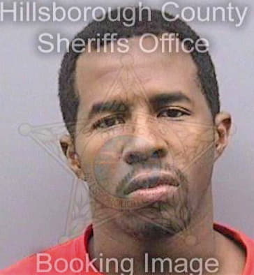 Grice Ian - Hillsborough County, FL 