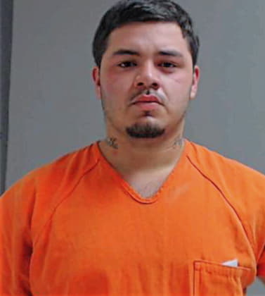 Mendoza Jesus - Hidalgo County, TX 