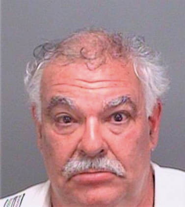 Wolfe Theodore - Pinellas County, FL 