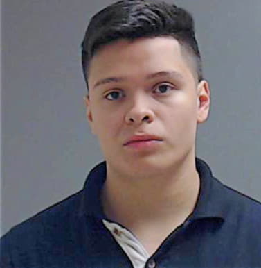 Hernandez Adrian - Hidalgo County, TX 