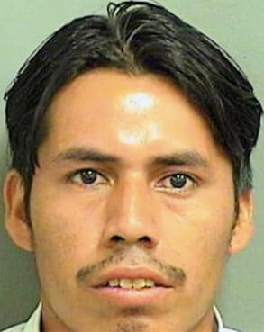 Miguel Mario - PalmBeach County, FL 