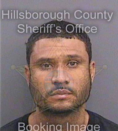 Unger Tobias - Hillsborough County, FL 
