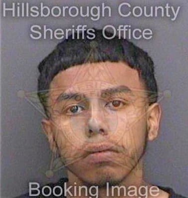 Leon Albert - Hillsborough County, FL 