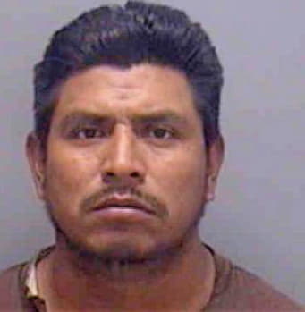 Morales Ernesto - Lee County, FL 