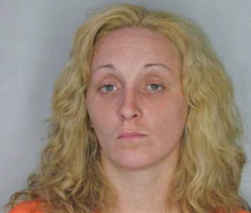Costley Mandy - Hillsborough County, FL 