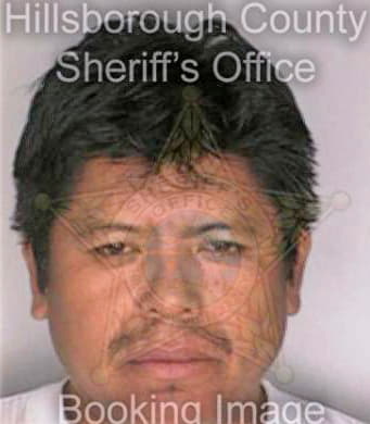 Rosales Paulino - Hillsborough County, FL 